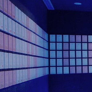 新宝GG—创立事业平台